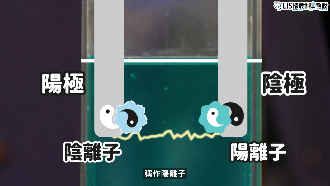 陽極會吸引陰離子,陰極會吸引陽離子