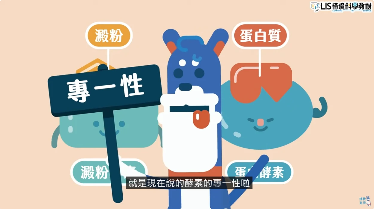 酵素具有專一性