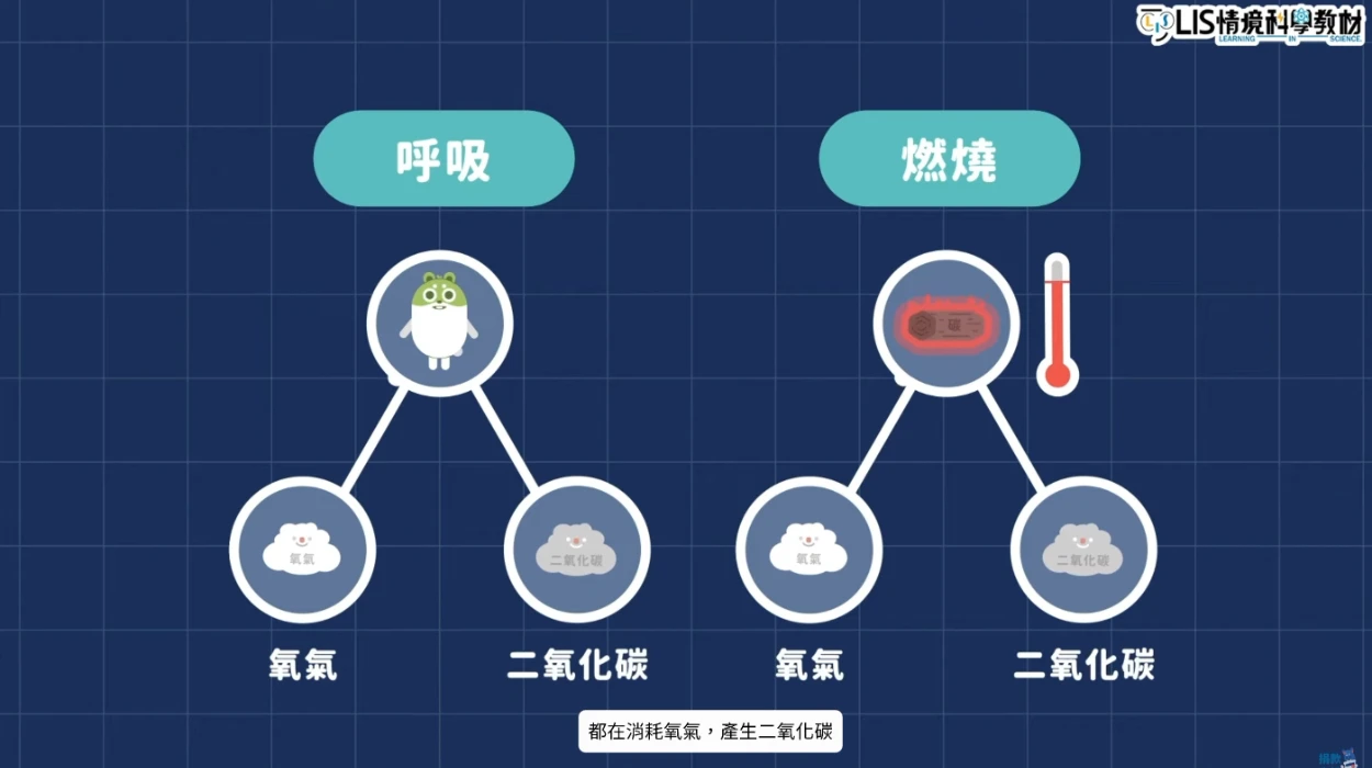 呼吸作用與燃燒